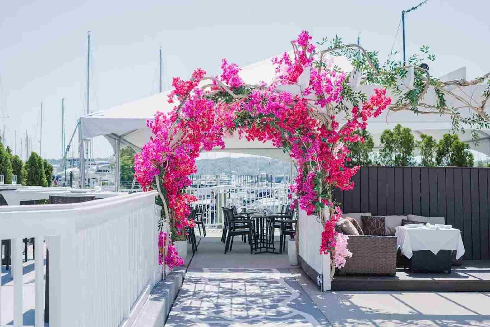 the cove restaurant & oyster bar