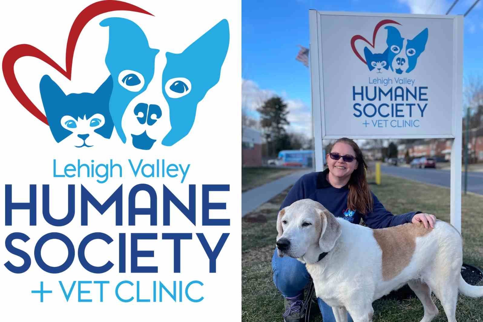 the lehigh valley humane society and vet clinic